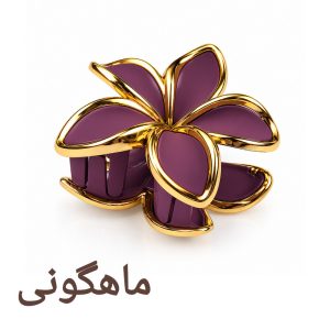 کلیپس مو زنانه مدل پلومریا شمعی مات کاتیا لوکس کد GC-35