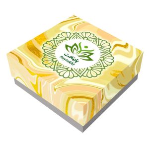 پیرسینگ بینی زنانه پایتخت مدل PS669_A