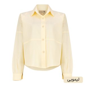 شومیز زنانه السانا مدل ژالان کد 2688