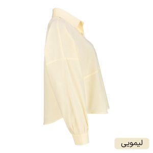 شومیز زنانه السانا مدل ژالان کد 2688