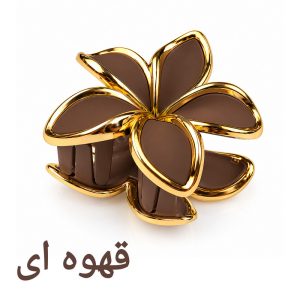کلیپس مو زنانه مدل پلومریا شمعی مات کاتیا لوکس کد GC-35