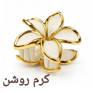 کلیپس مو زنانه مدل پلومریا شمعی مات کاتیا لوکس کد GC-35