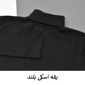 بلوز آستین بلند یقه اسکی زنانه مدل PDK-YS کد M5354